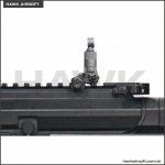 g-g-g-g-arp-556-v2s-2