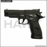 p226